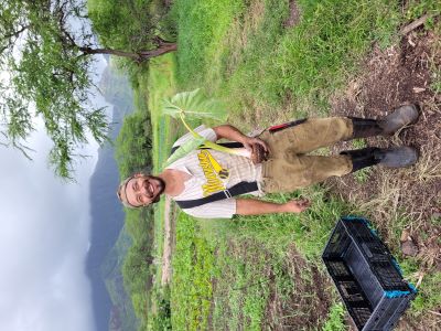 Photo: Taro Farmer Laughing