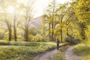 Photo: Boy Walking in a Field