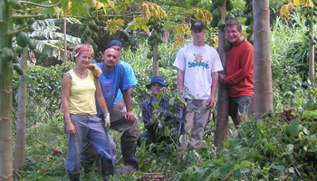 Photo: Local Papaya Farmers