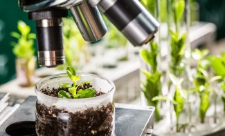 Photo: Scientist Taking Samples from Seedlings