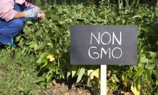 Photo: Non GMO and Fair Trade