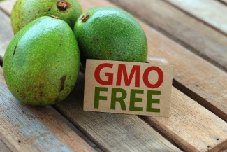 Picture: Non-GMO Avocados