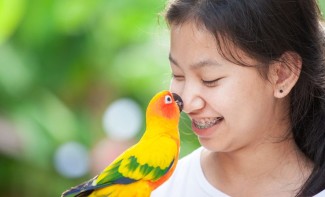 Photo: Girl kissing a pet bird