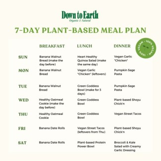 7-Day Plant-Based Meal Plan