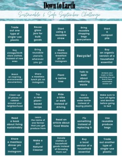 30 Day Chart of Sustainable Challenges