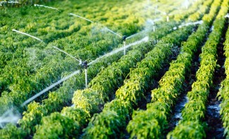 Photo: Mobile Irrigation System