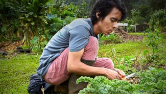 Photo: Volunteer Works at Hooulu Aina