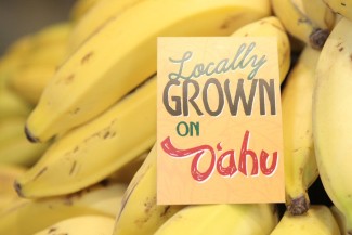 Photo: Bananas with Sign Reading Locally Grown on Oahu