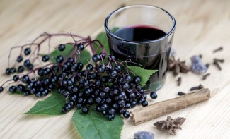 Photo: Elderberry