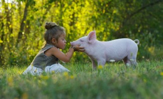 Photo: Girl with a sow