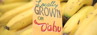 Photo: Locally Grown Bananas on Oahu