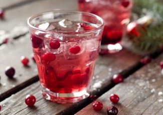 Photo: Fresh Cranberry Spritzer