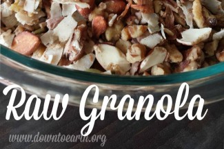 Photo: Raw Granola