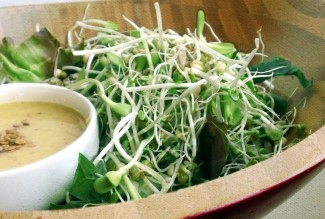 Photo: Sprout Salad Medley and Dressing