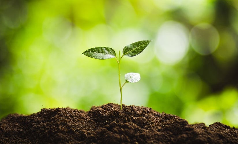 Issues in Defining Natural | Down to Earth Organic and Natural