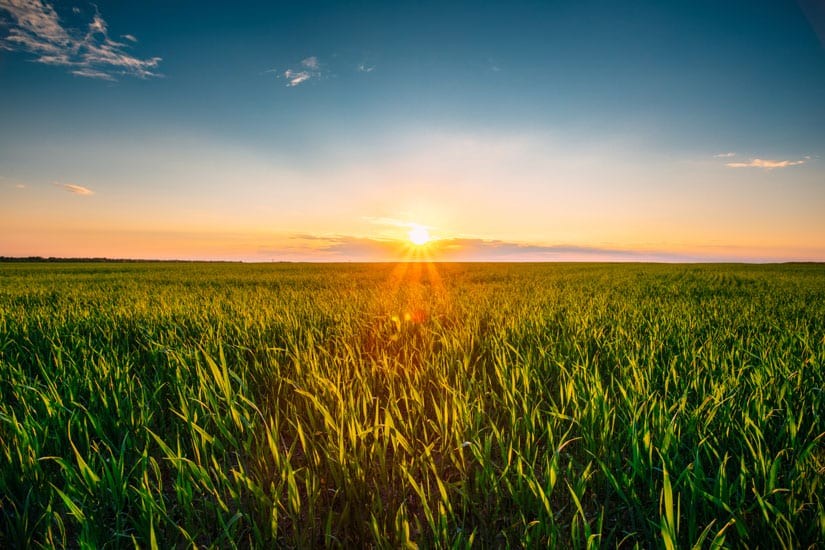 Photo: Green Fields