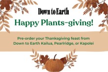 Down to Earth Happy Plants-giving!