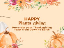 Happy Plants-giving