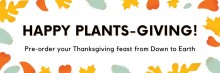 Happy Plants-Giving! Pre-order your Thanksgiving feast from Down to Earth