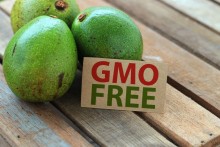 Picture: Non-GMO Avocados