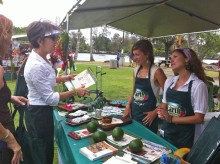 Photo: Down to Earth Booth at the World Peace Festival