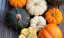 Photo: Fall Pumpkins