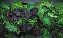 Photo: Kale