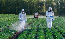 Photo: Farmer Spraying Pesticides